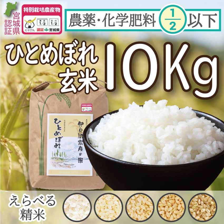 宮城県産 ひとめぼれ玄米30キロ - 米/穀物