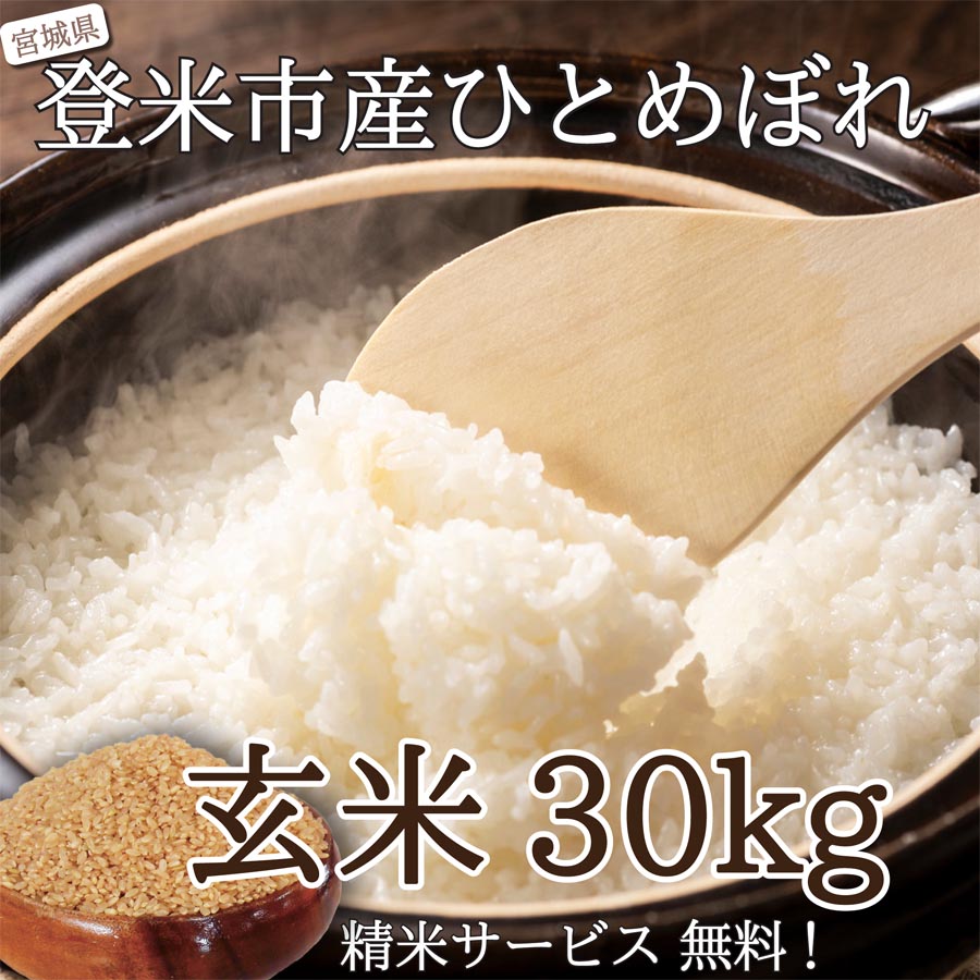 令和3年　宮城県登米市産　ひとめぼれ　15キロ食品
