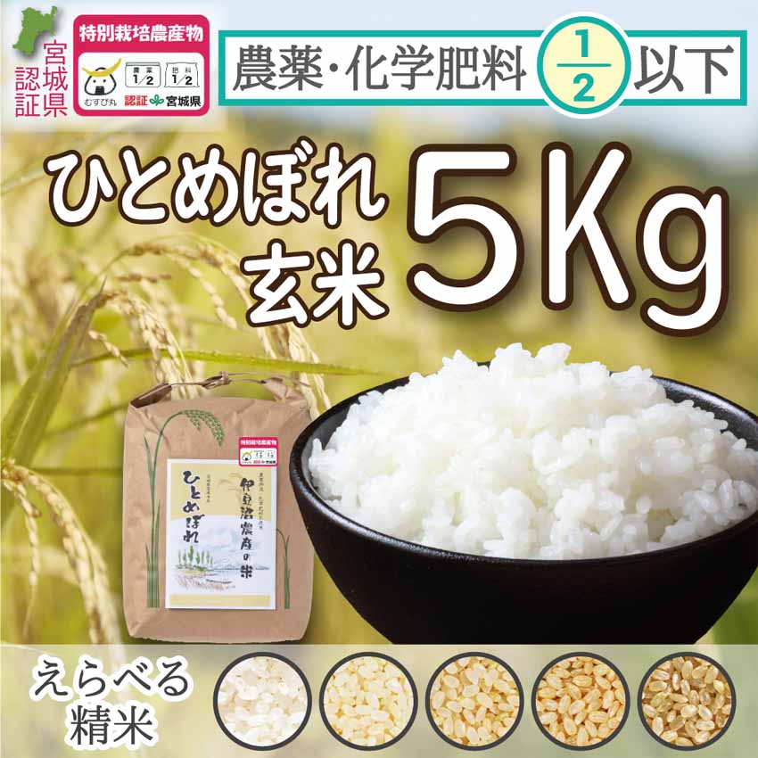 米/穀物鳥取県産　ひとめぼれ　20キロ（令和５年新米）玄米対応可能